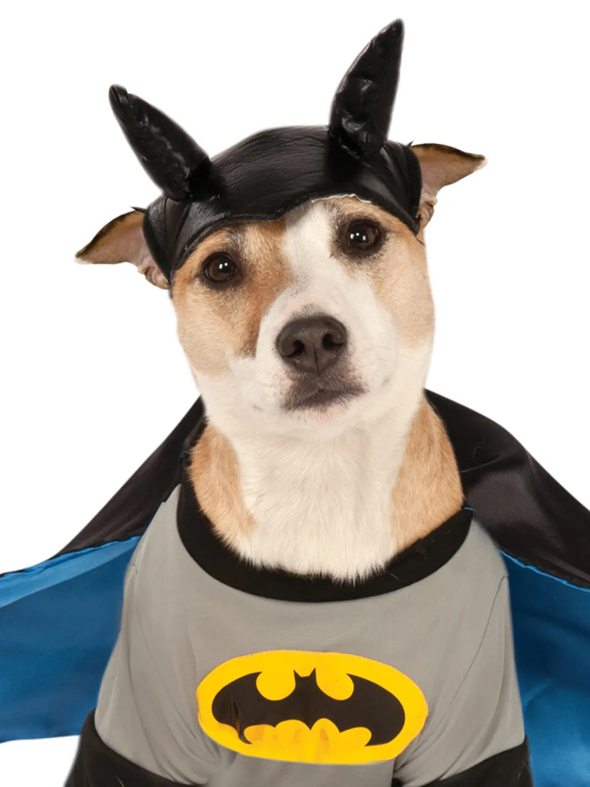 Batman Deluxe Pet Costume - Warner Bros Batman: Brave and Bold