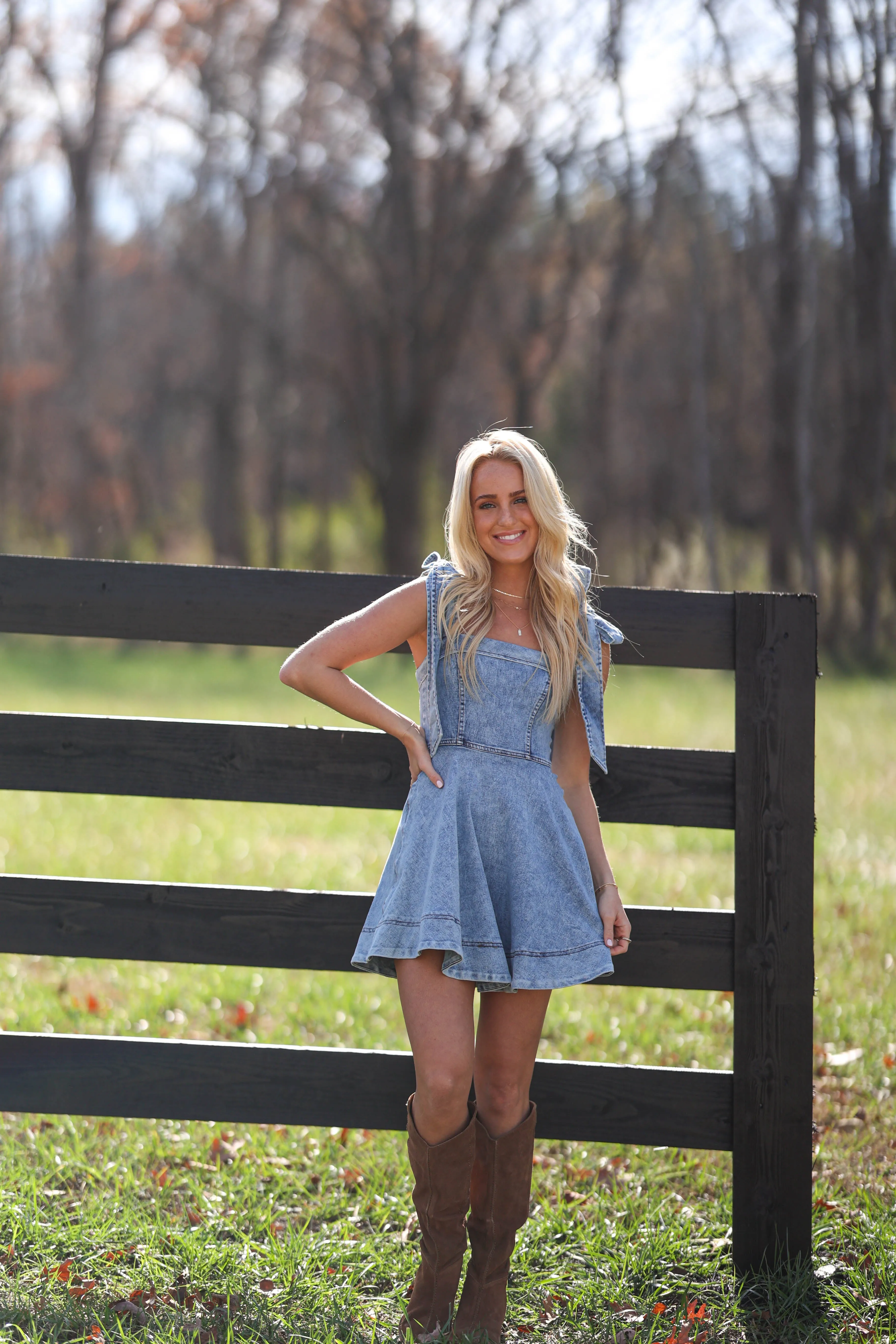 Brian Denim Dress