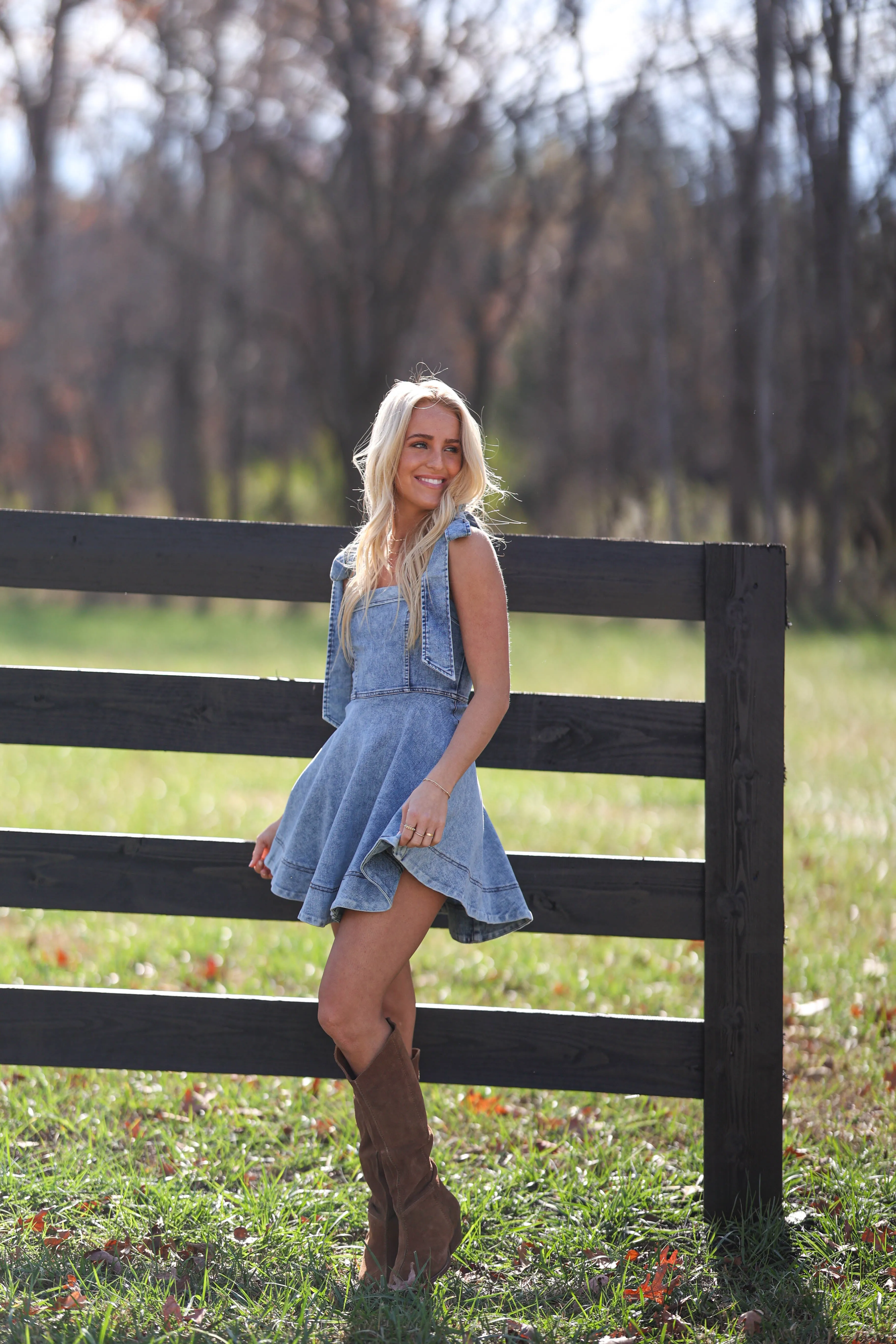 Brian Denim Dress