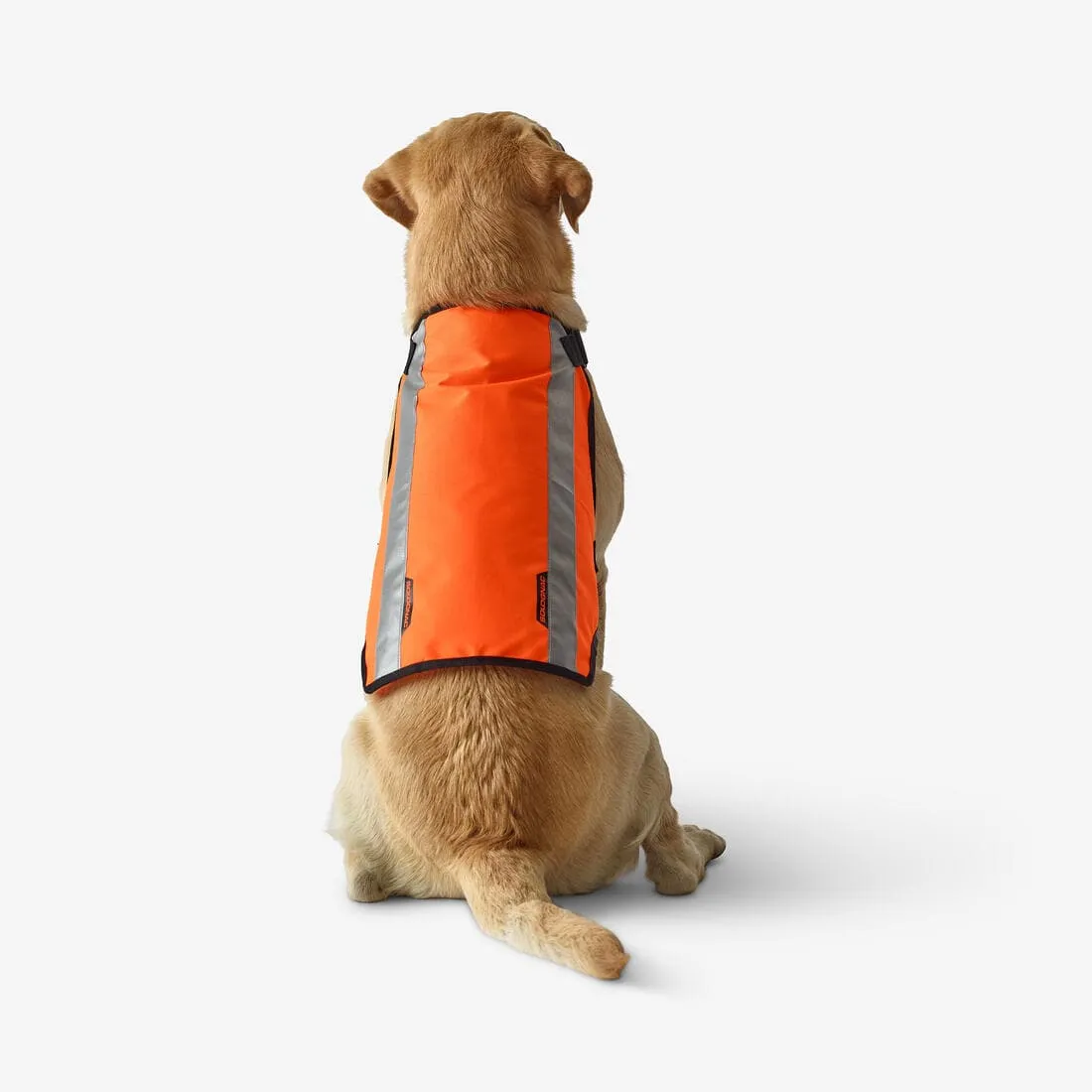 GILET CHIEN CHASSE 100