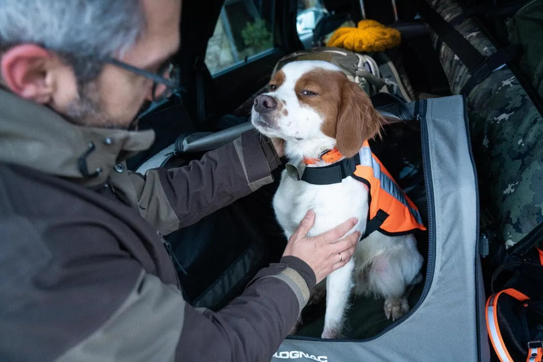 GILET CHIEN CHASSE 100